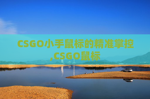 CSGO小手鼠标的精准掌控,CSGO鼠标