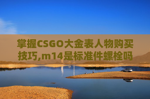 掌握CSGO大金表人物购买技巧,m14是标准件螺栓吗