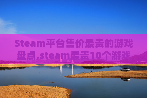 Steam平台售价最贵的游戏盘点,steam最贵10个游戏