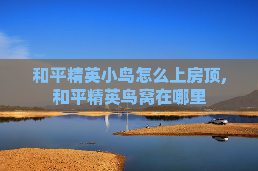和平精英小鸟怎么上房顶,和平精英鸟窝在哪里