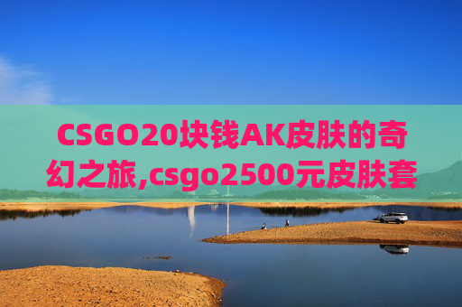 CSGO20块钱AK皮肤的奇幻之旅,csgo2500元皮肤套装推荐
