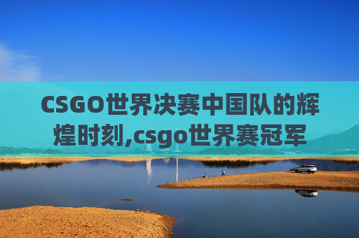 CSGO世界决赛中国队的辉煌时刻,csgo世界赛冠军