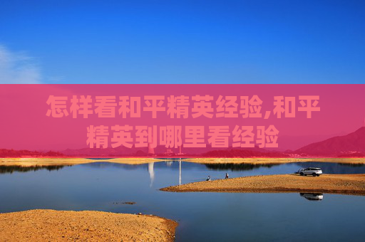 怎样看和平精英经验,和平精英到哪里看经验