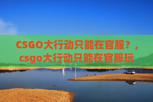 CSGO大行动只能在官服？,csgo大行动只能在官服玩吗