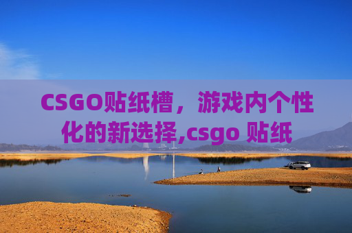 CSGO贴纸槽，游戏内个性化的新选择,csgo 贴纸