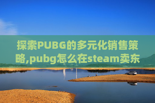 探索PUBG的多元化销售策略,pubg怎么在steam卖东西
