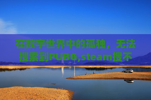 在数字世界中的孤独，无法搜索到PUBG,steam搜不到pubg