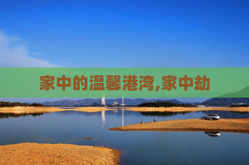 家中的温馨港湾,家中劫