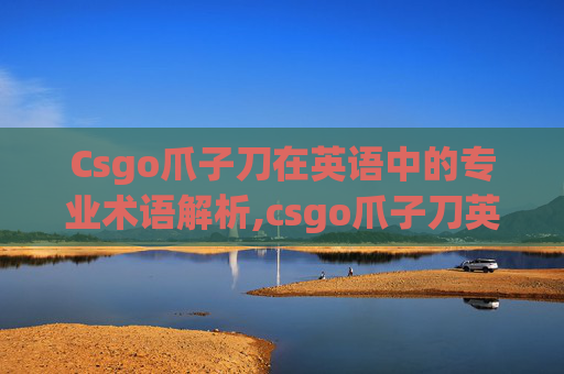 Csgo爪子刀在英语中的专业术语解析,csgo爪子刀英文