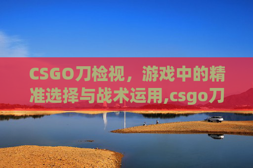 CSGO刀检视，游戏中的精准选择与战术运用,csgo刀检视动作按什么
