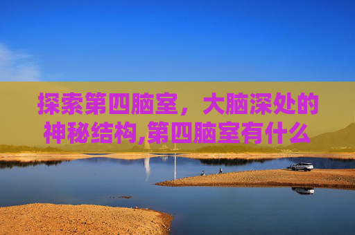 探索第四脑室，大脑深处的神秘结构,第四脑室有什么功能