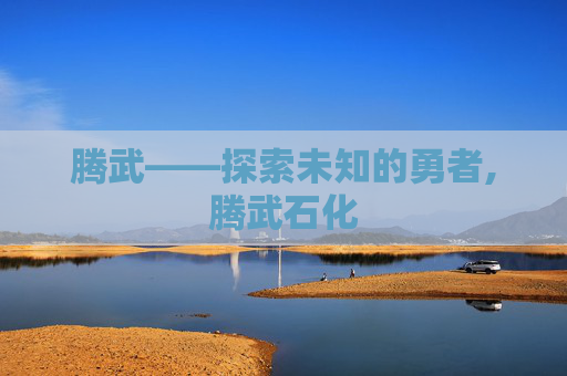 腾武——探索未知的勇者,腾武石化