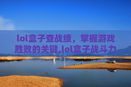 lol盒子查战绩，掌握游戏胜败的关键,lol盒子战斗力查询在线查询