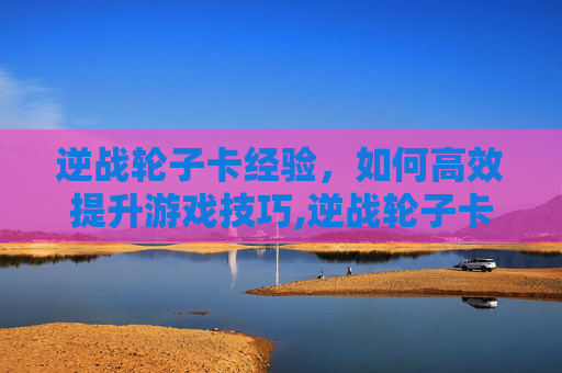 逆战轮子卡经验，如何高效提升游戏技巧,逆战轮子卡经验怎么用