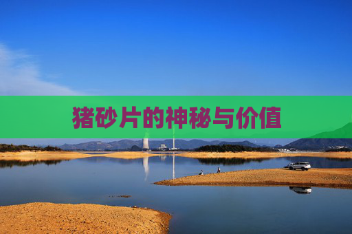 猪砂片的神秘与价值