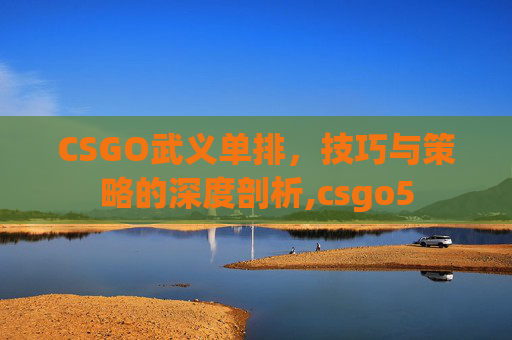 CSGO武义单排，技巧与策略的深度剖析,csgo5