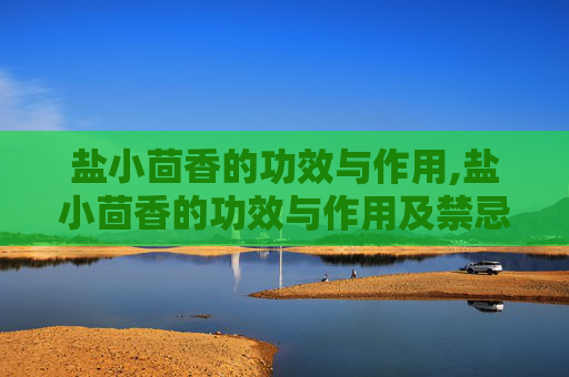 盐小茴香的功效与作用,盐小茴香的功效与作用及禁忌
