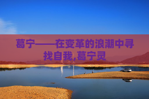 葛宁——在变革的浪潮中寻找自我,葛宁灵
