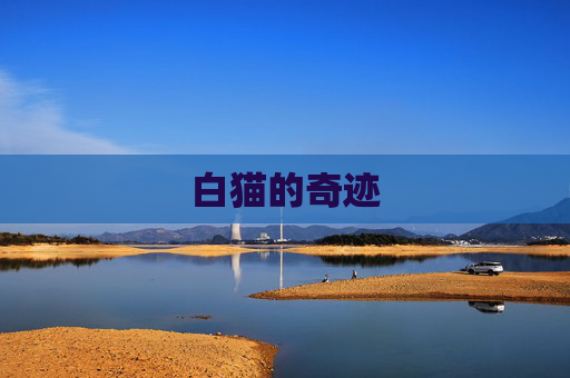 白猫的奇迹