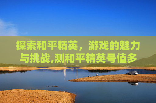 探索和平精英，游戏的魅力与挑战,测和平精英号值多少钱