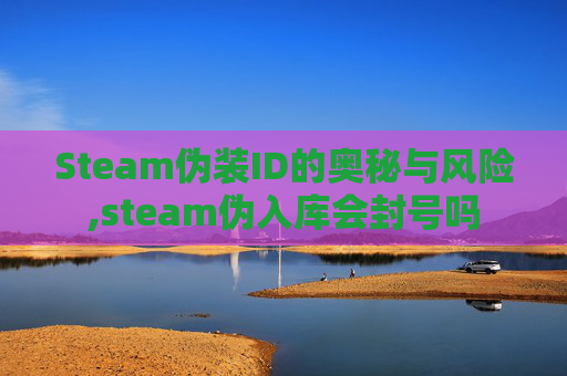 Steam伪装ID的奥秘与风险,steam伪入库会封号吗
