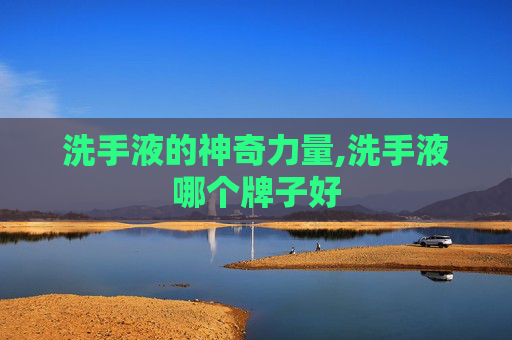 洗手液的神奇力量,洗手液哪个牌子好