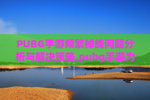 PUBG手游频繁掉线问题分析与解决策略,pubg手游为什么老是闪退