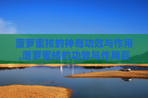 菠萝蜜核的神奇功效与作用,菠萝蜜核的功效与作用百度百科