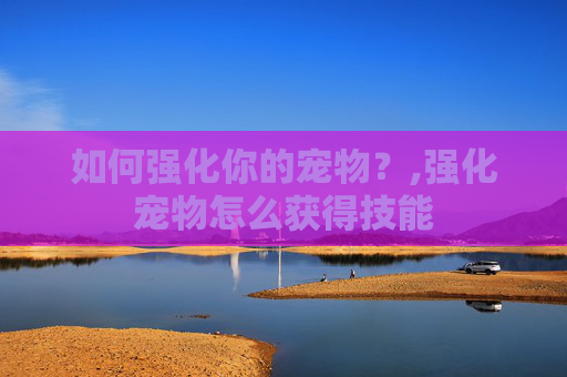如何强化你的宠物？,强化宠物怎么获得技能