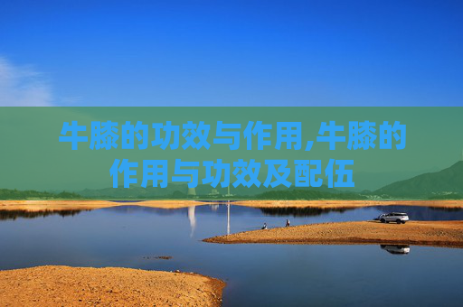牛膝的功效与作用,牛膝的作用与功效及配伍