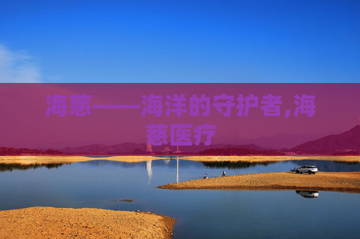海慈——海洋的守护者,海慈医疗