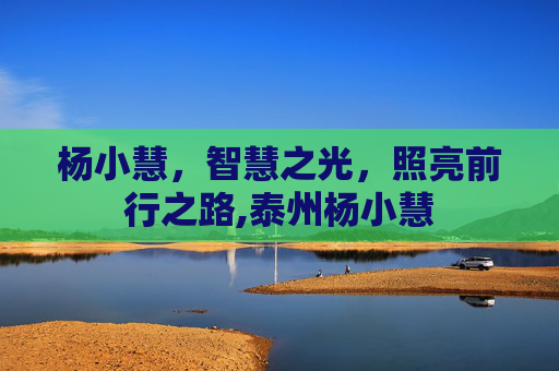 杨小慧，智慧之光，照亮前行之路,泰州杨小慧