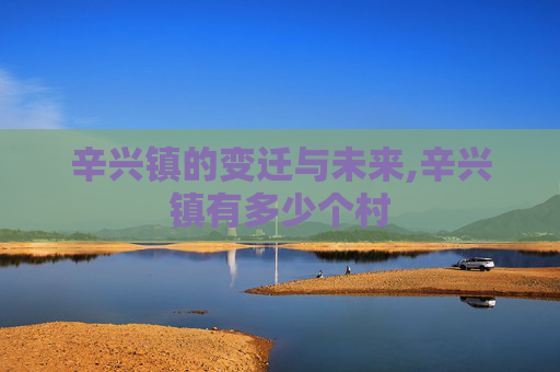 辛兴镇的变迁与未来,辛兴镇有多少个村