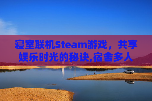 寝室联机Steam游戏，共享娱乐时光的秘诀,宿舍多人联机游戏