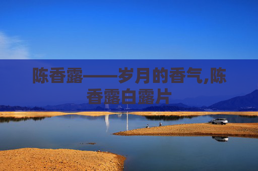 陈香露——岁月的香气,陈香露白露片