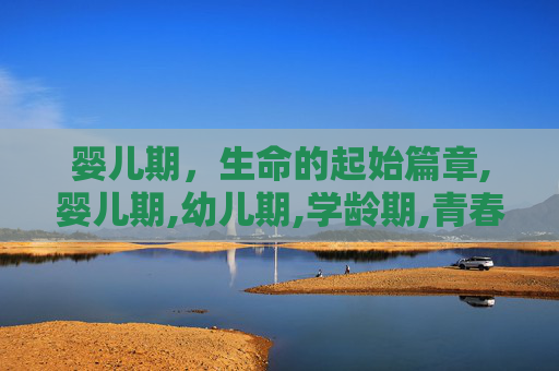 婴儿期，生命的起始篇章,婴儿期,幼儿期,学龄期,青春期和成人期的年龄段