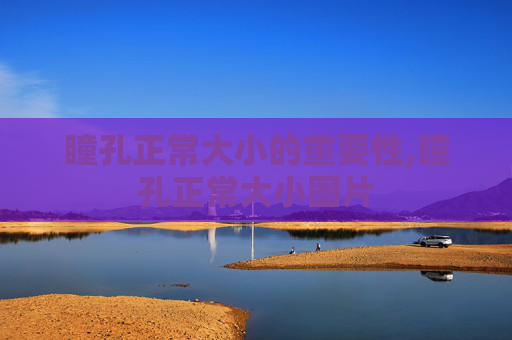 瞳孔正常大小的重要性,瞳孔正常大小图片