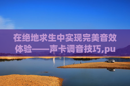 在绝地求生中实现完美音效体验——声卡调音技巧,pubg职业选手声卡设置