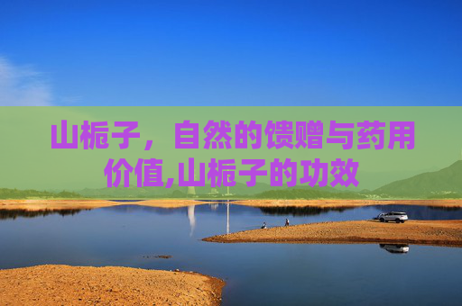 山栀子，自然的馈赠与药用价值,山栀子的功效
