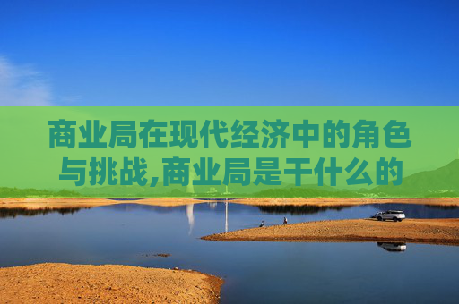 商业局在现代经济中的角色与挑战,商业局是干什么的