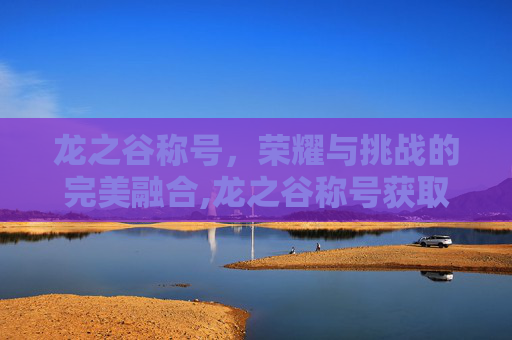 龙之谷称号，荣耀与挑战的完美融合,龙之谷称号获取大全