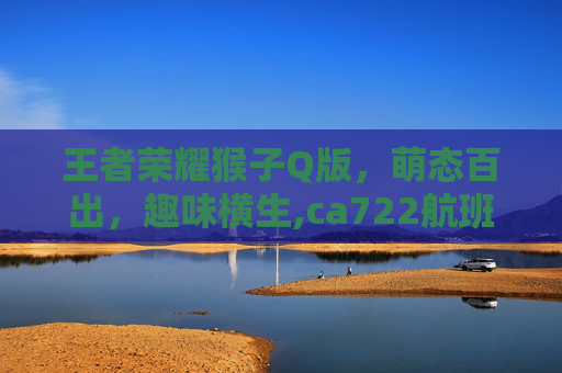 王者荣耀猴子Q版，萌态百出，趣味横生,ca722航班回国经过