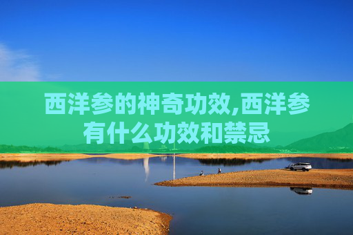 西洋参的神奇功效,西洋参有什么功效和禁忌