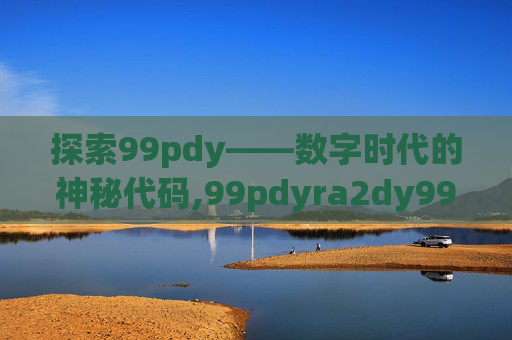 探索99pdy——数字时代的神秘代码,99pdyra2dy999