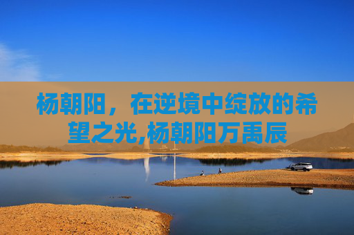 杨朝阳，在逆境中绽放的希望之光,杨朝阳万禹辰