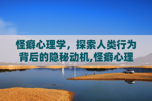 怪癖心理学，探索人类行为背后的隐秘动机,怪癖心理学电子书