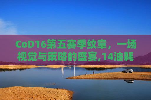 CoD16第五赛季纹章，一场视觉与策略的盛宴,14油耗投多少钱一公里