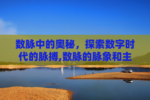 数脉中的奥秘，探索数字时代的脉搏,数脉的脉象和主病