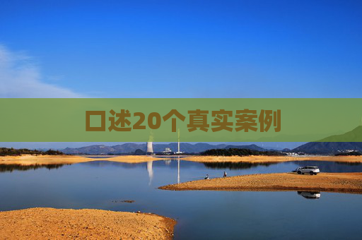 口述20个真实案例