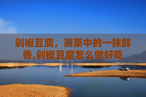 剁椒豆腐，湘菜中的一抹鲜香,剁椒豆腐怎么做好吃